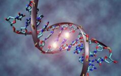 Epigenetics_teaser