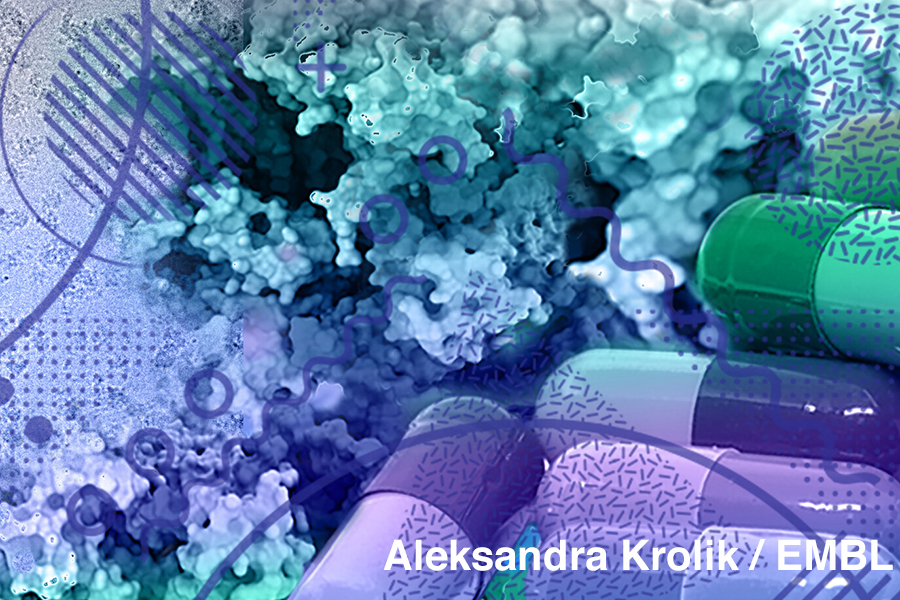 Credit: Aleksandra Krolik / EMBL